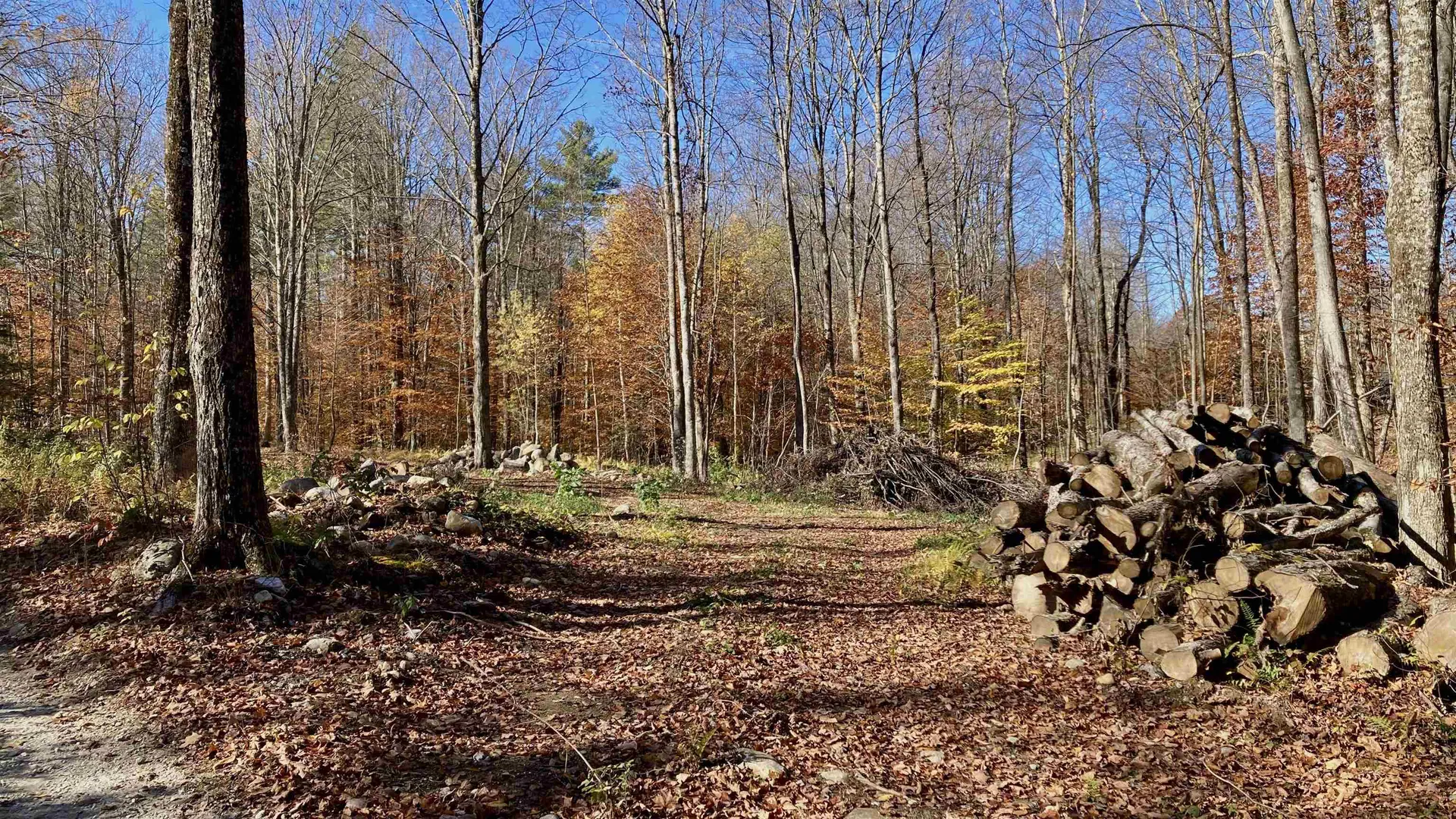 00 Pasquale Street Chittenden VT 07563