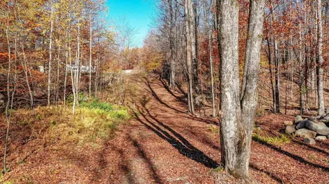 00 Pasquale Street Chittenden VT 07563