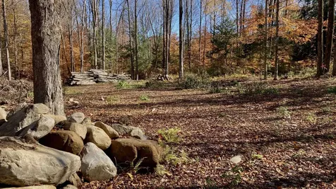 00 Pasquale Street Chittenden VT 07563