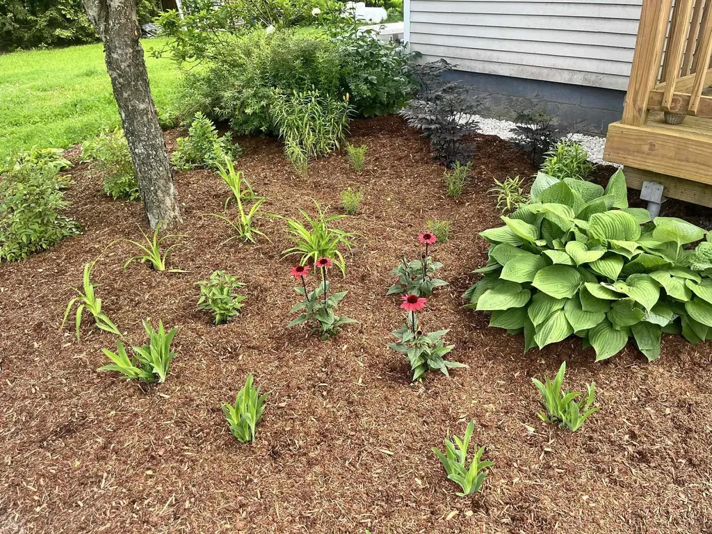 188 Atwood Road Duxbury VT 05676