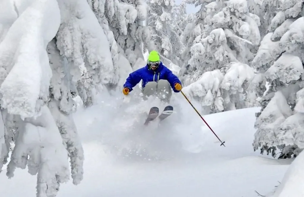 9 Top Notch Road Bartlett NH 03812