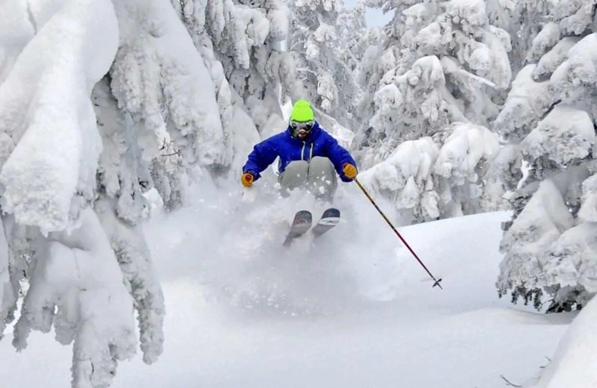 9 Top Notch Road Bartlett NH 03812