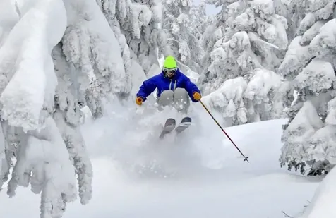 9 Top Notch Road Bartlett NH 03812