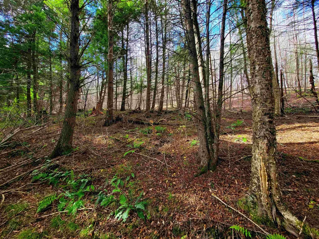 566 Community Drive Randolph VT 05061