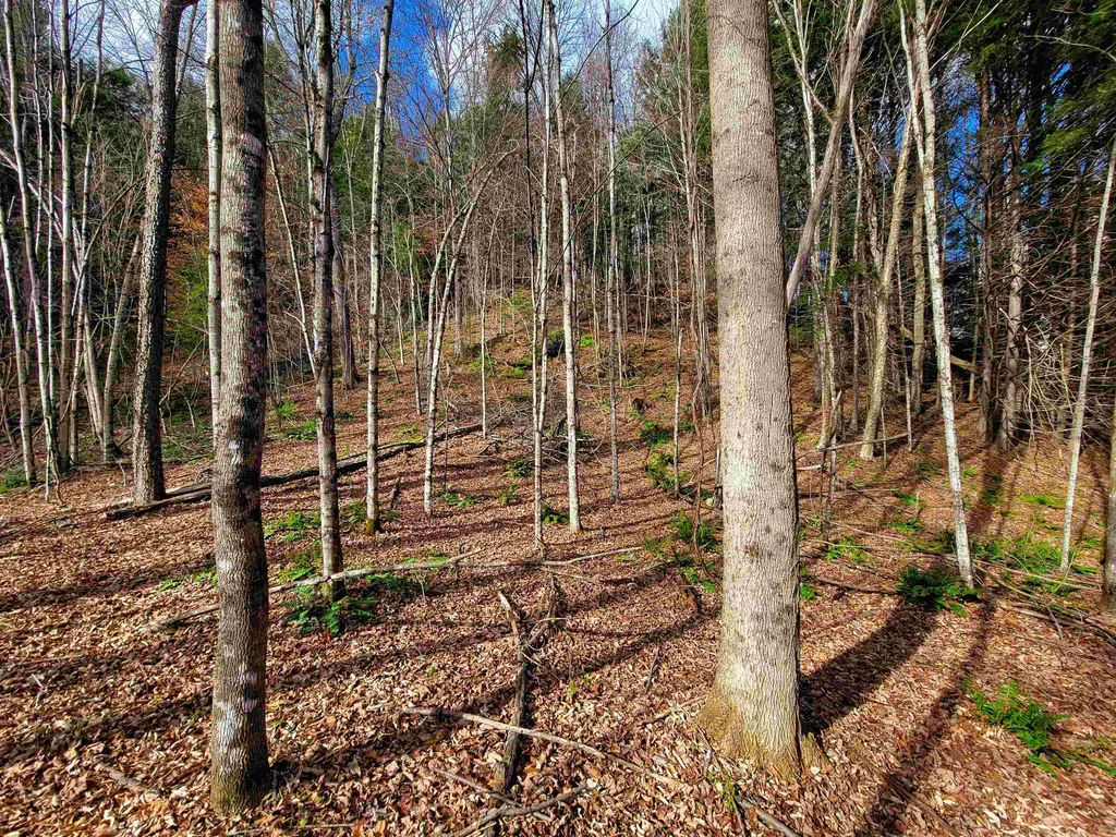 566 Community Drive Randolph VT 05061