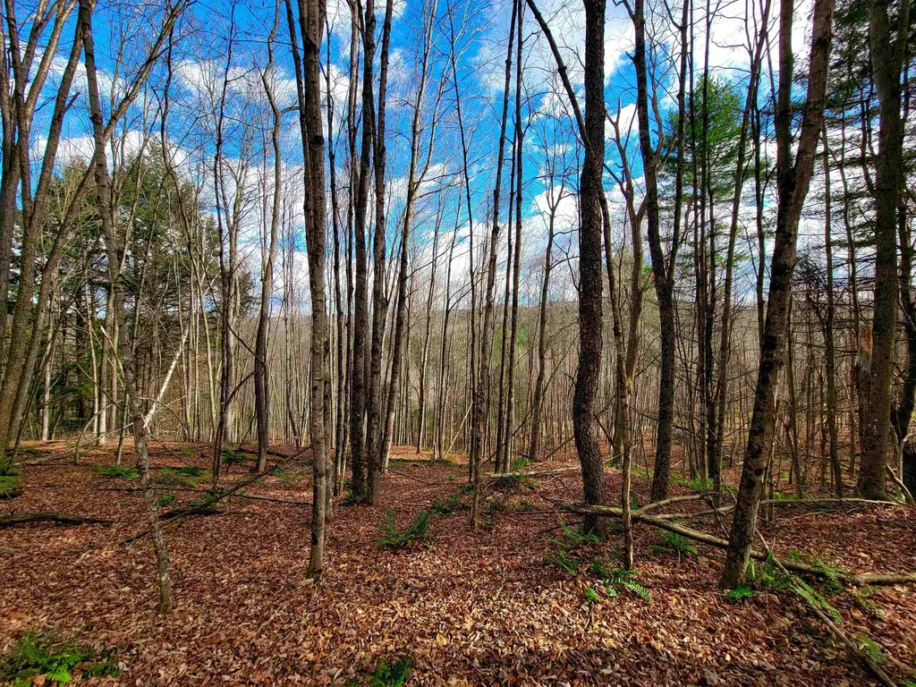 566 Community Drive Randolph VT 05061