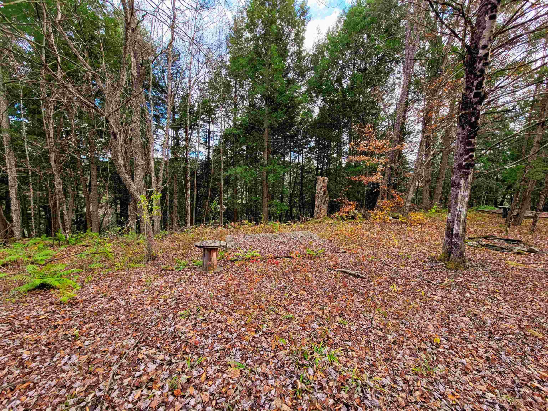 566 Community Drive Randolph VT 05061