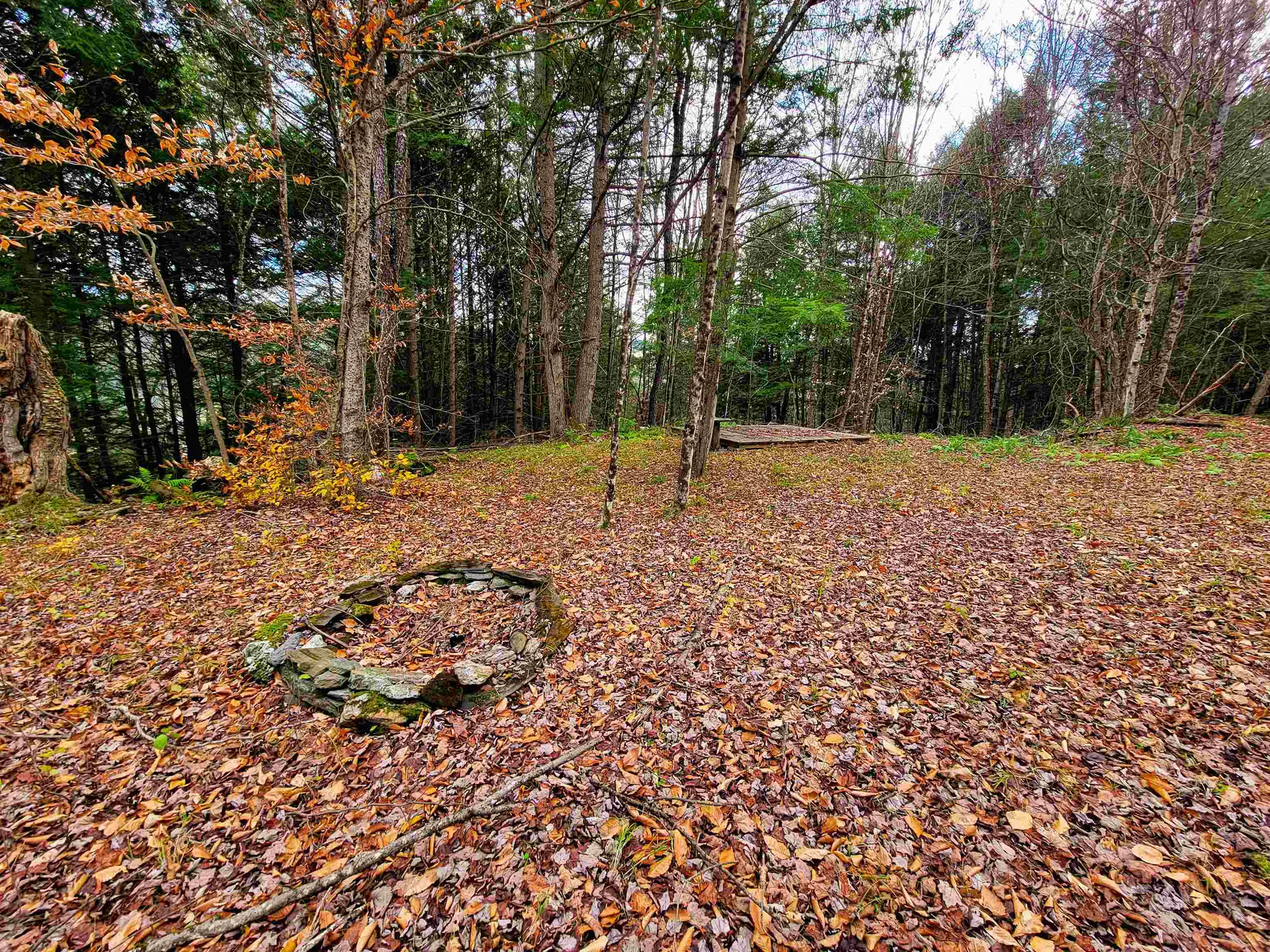 566 Community Drive Randolph VT 05061