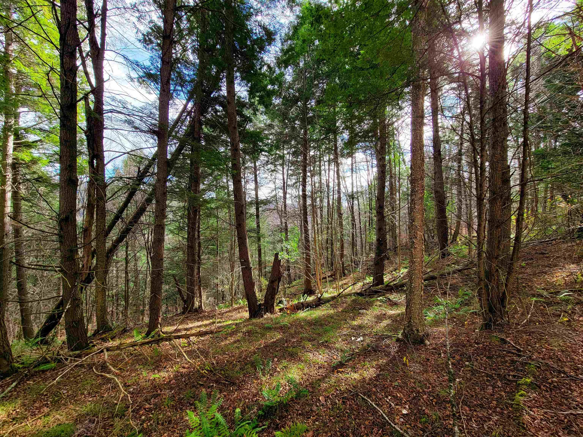 566 Community Drive Randolph VT 05061