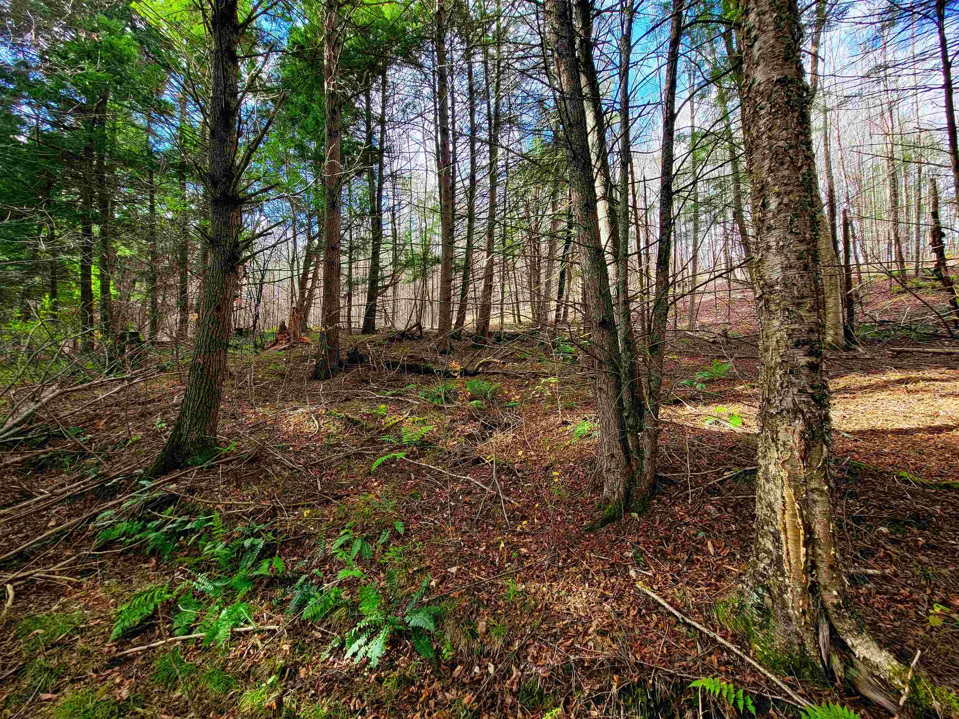 566 Community Drive Randolph VT 05061