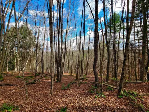 566 Community Drive Randolph VT 05061