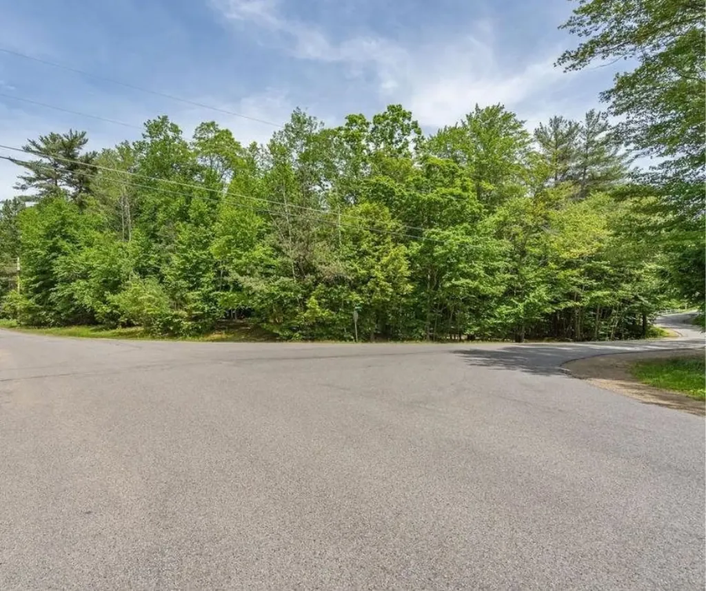 M37 L40 Beaver Road Strafford NH 03884