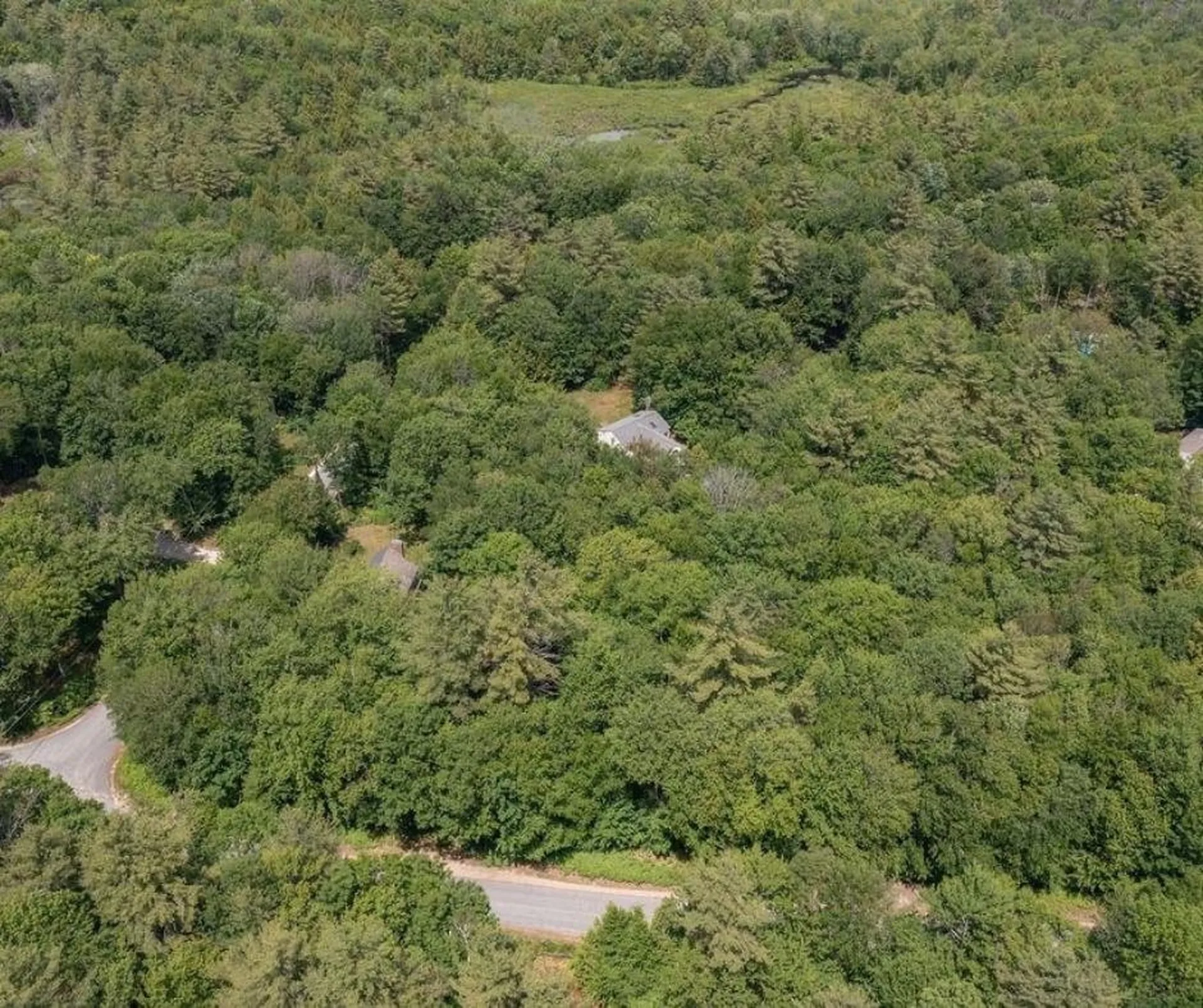 M37 L40 Beaver Road Strafford NH 03884