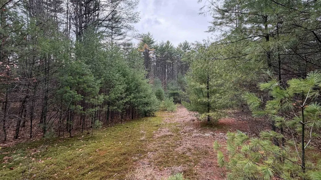 00 Deer Meadow Road Webster NH 03303