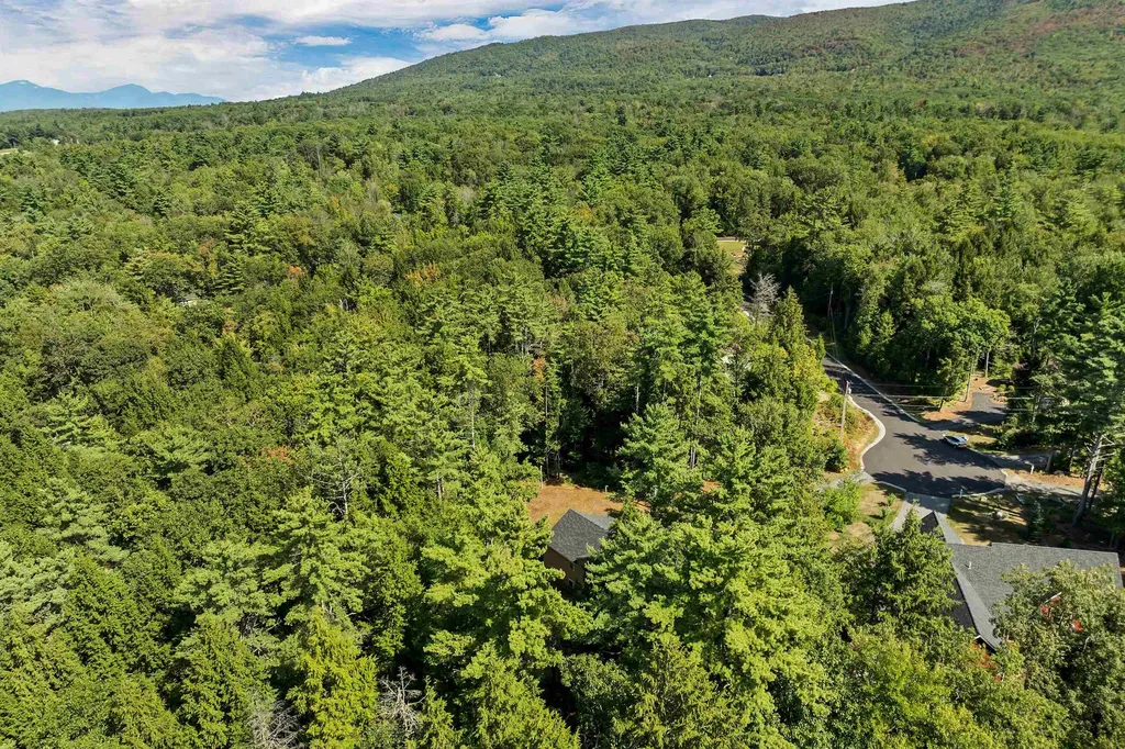 16 Buckingham Terrace Moultonborough NH 03254