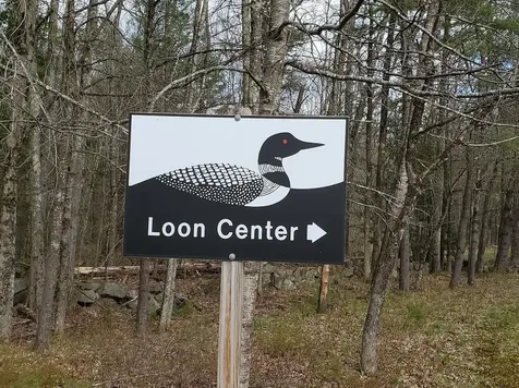 16 Buckingham Terrace Moultonborough NH 03254