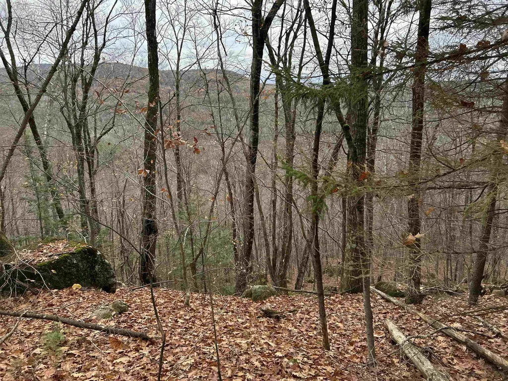 0 Pound Road Sutton NH 03221