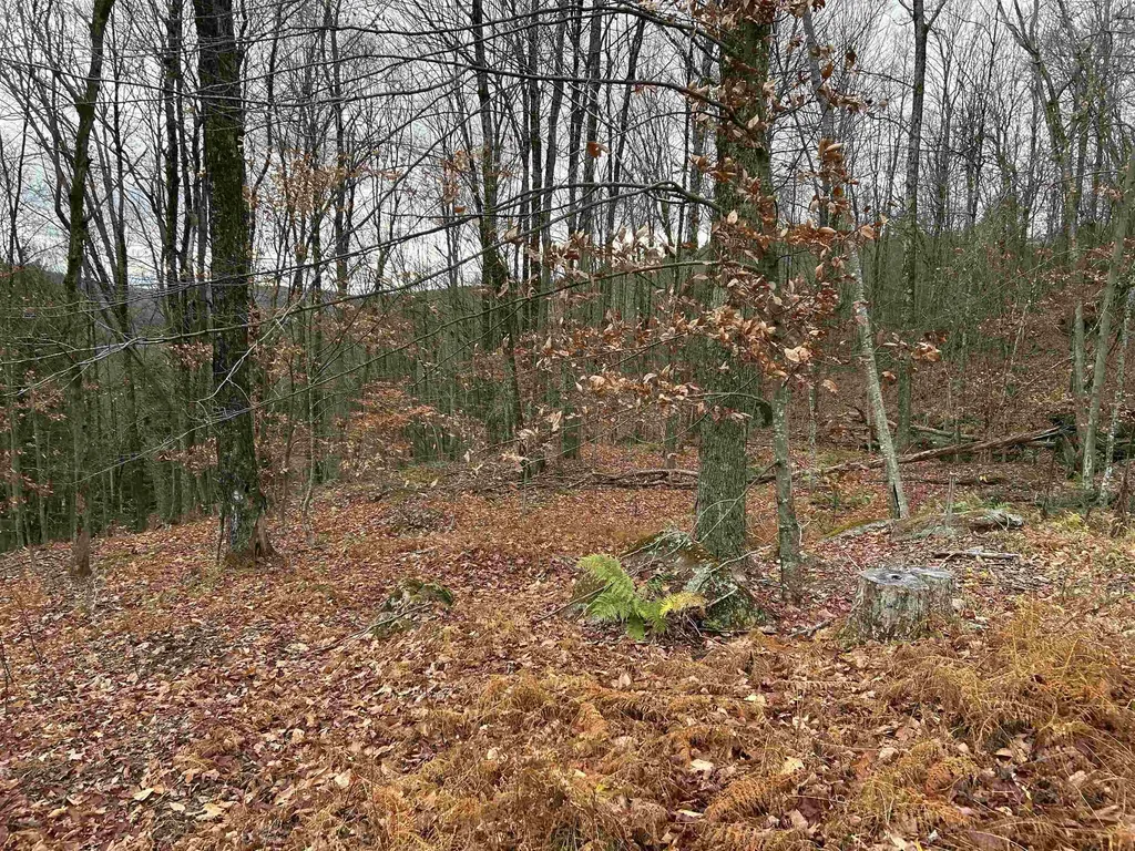 0 Pound Road Sutton NH 03221