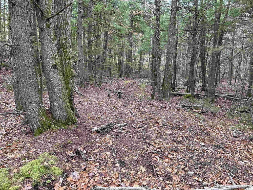 0 Pound Road Sutton NH 03221