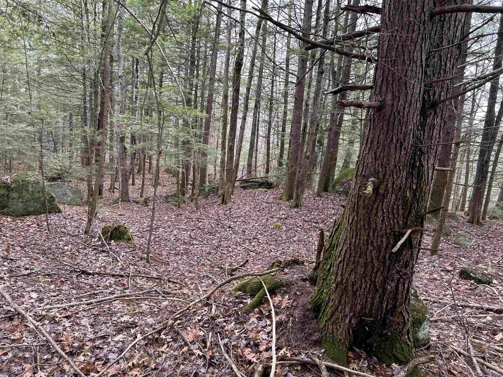 0 Pound Road Sutton NH 03221