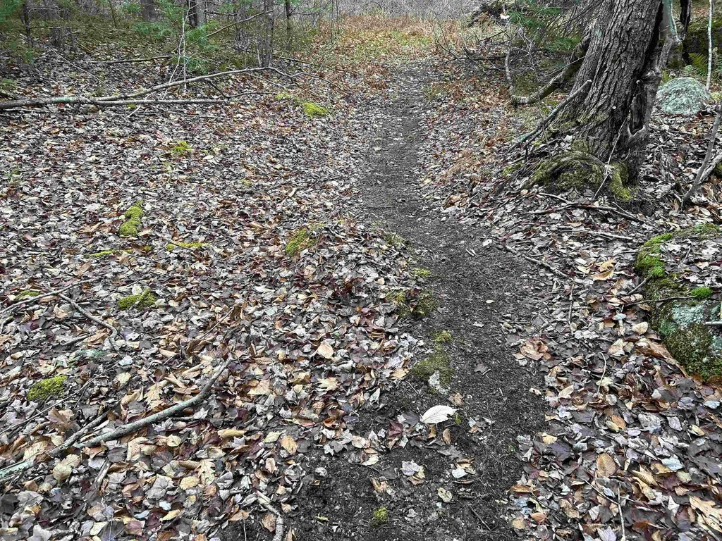 0 Pound Road Sutton NH 03221