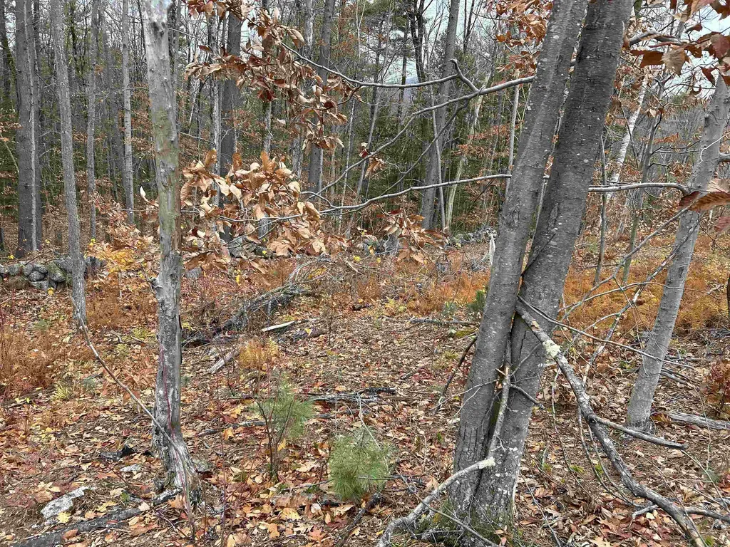 0 Pound Road Sutton NH 03221