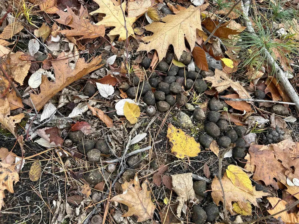0 Pound Road Sutton NH 03221