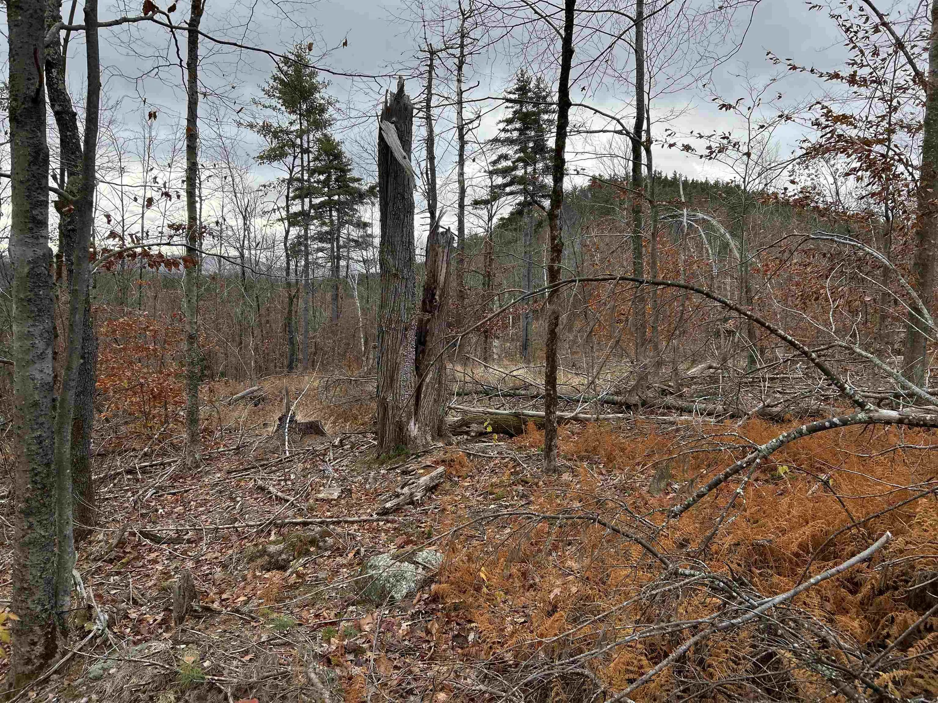 0 Pound Road Sutton NH 03221