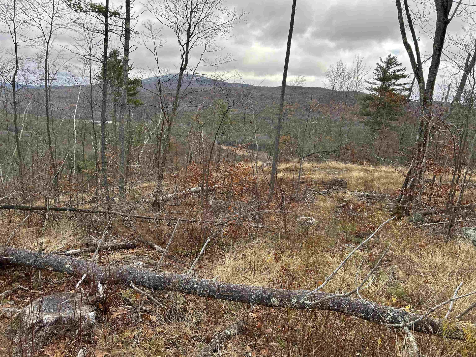 0 Pound Road Sutton NH 03221