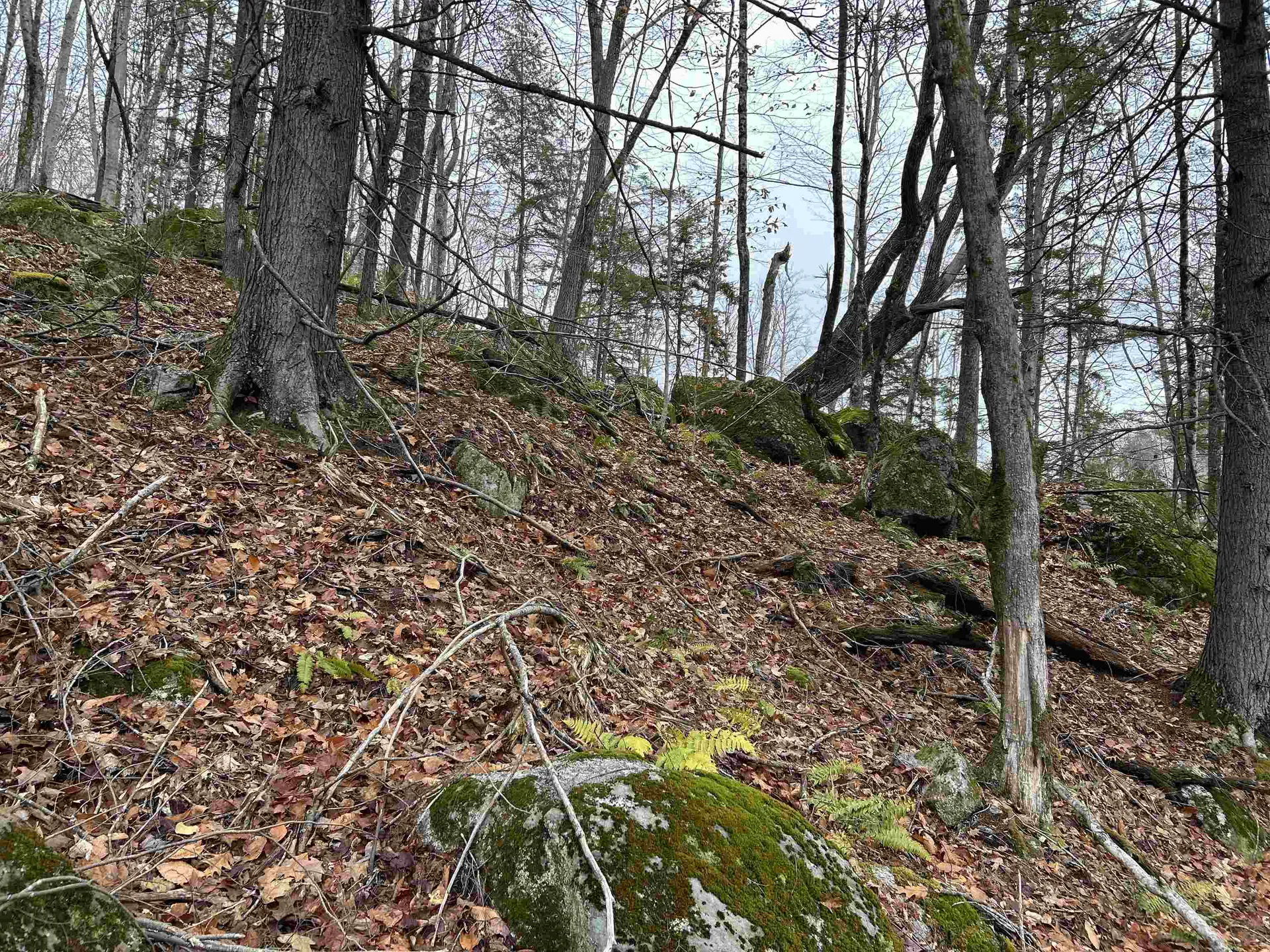 0 Pound Road Sutton NH 03221