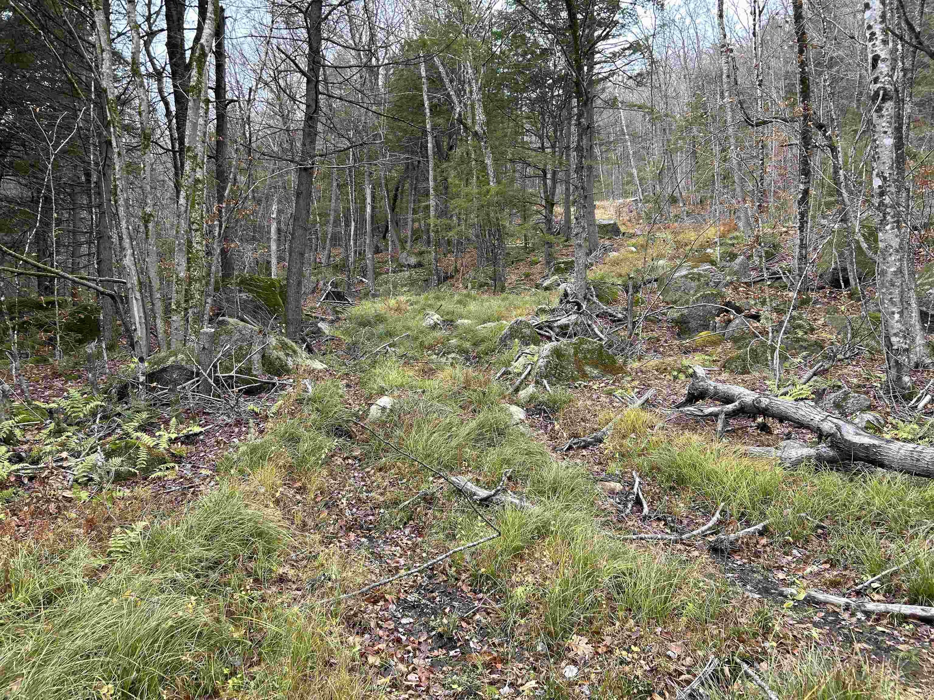 0 Pound Road Sutton NH 03221