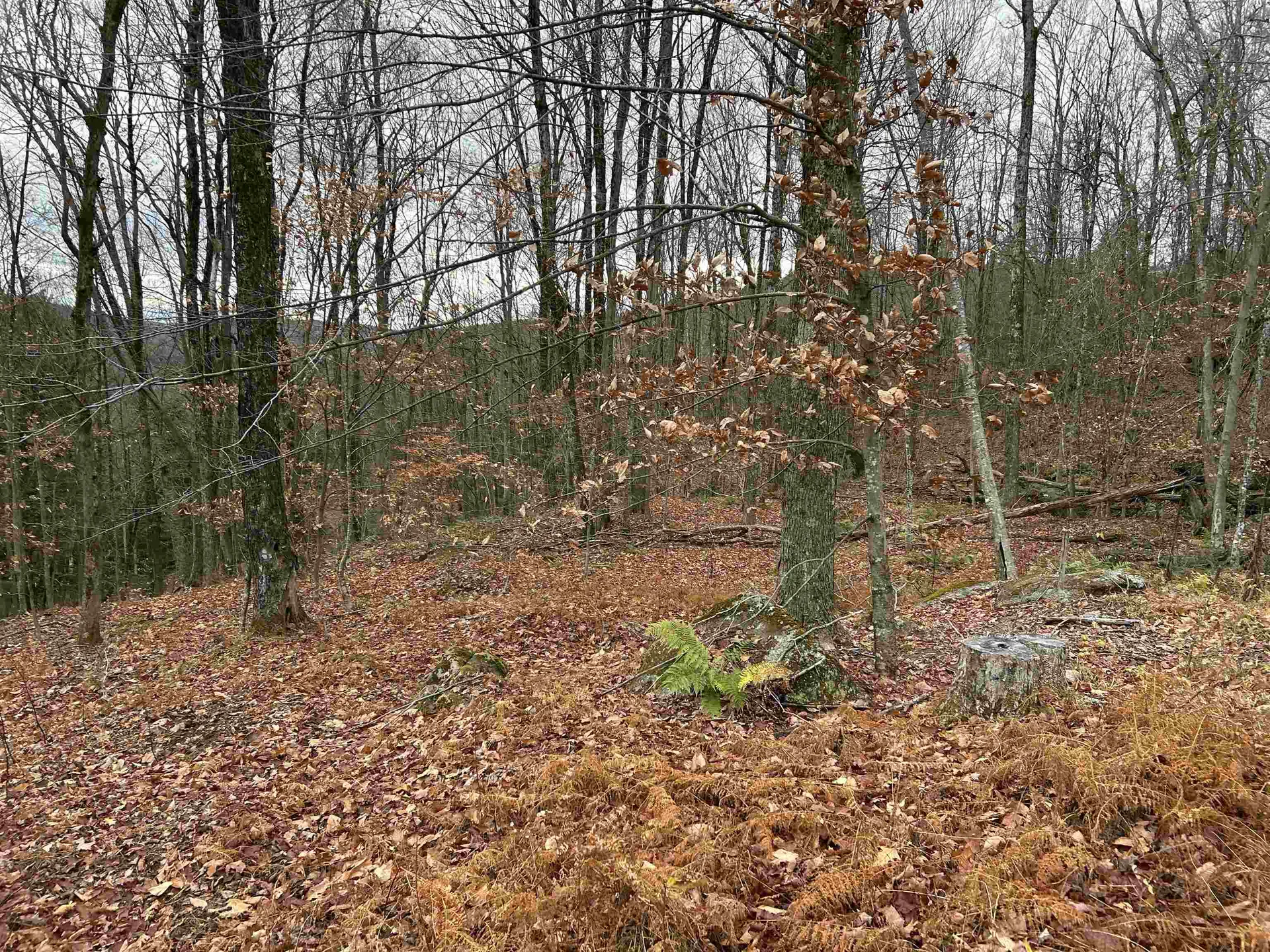 0 Pound Road Sutton NH 03221