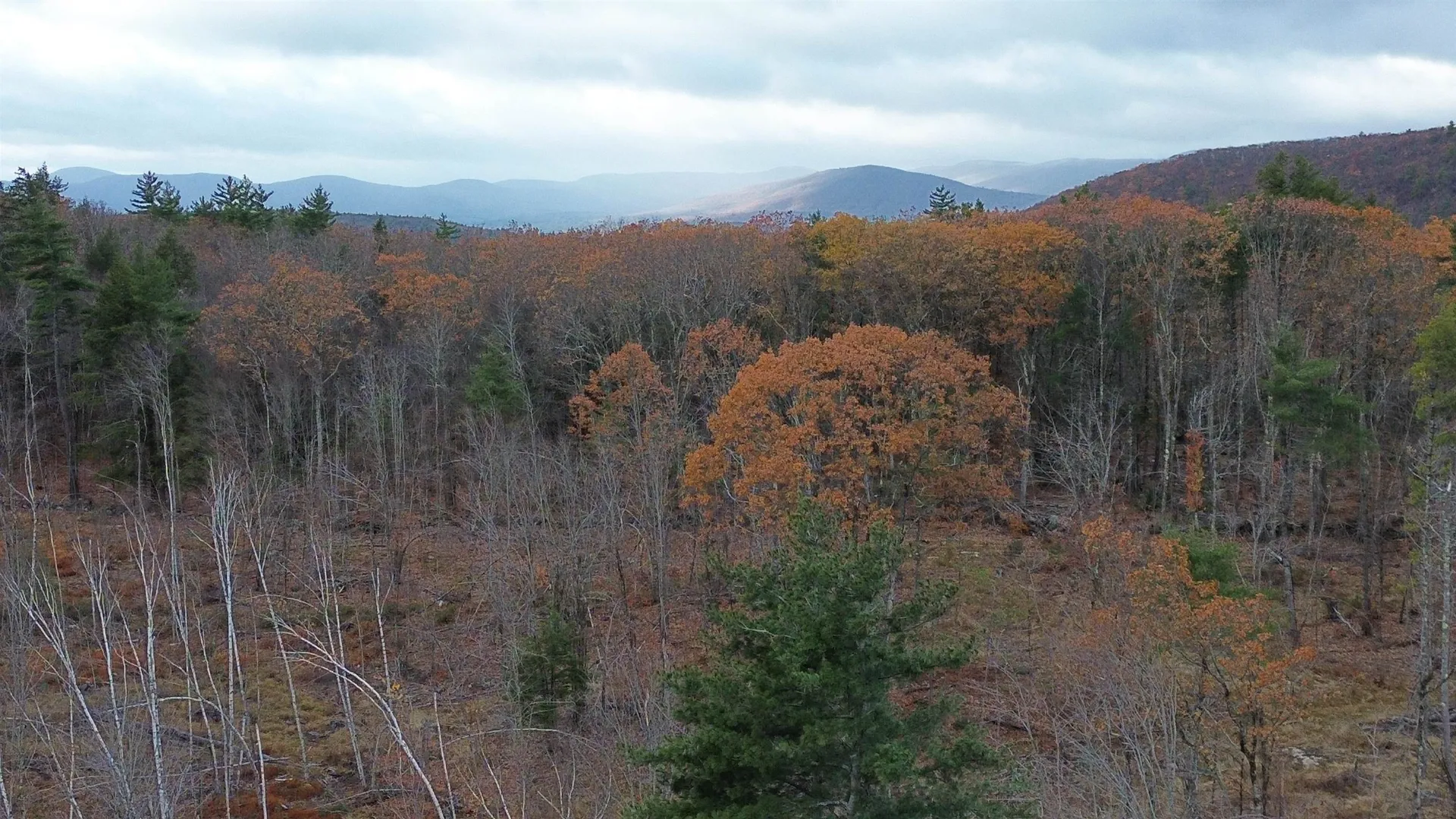 0 Pound Road Sutton NH 03221