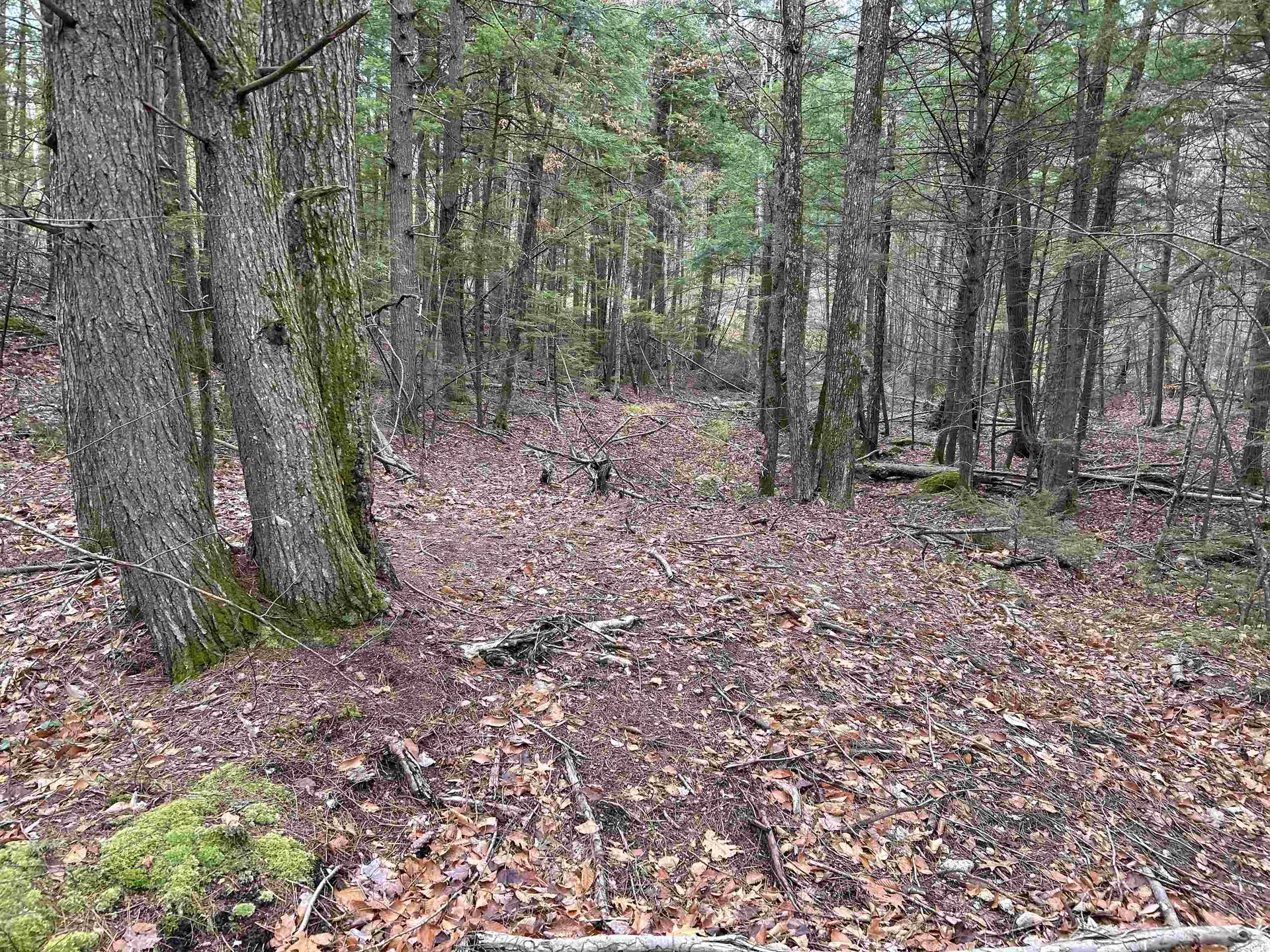 0 Pound Road Sutton NH 03221