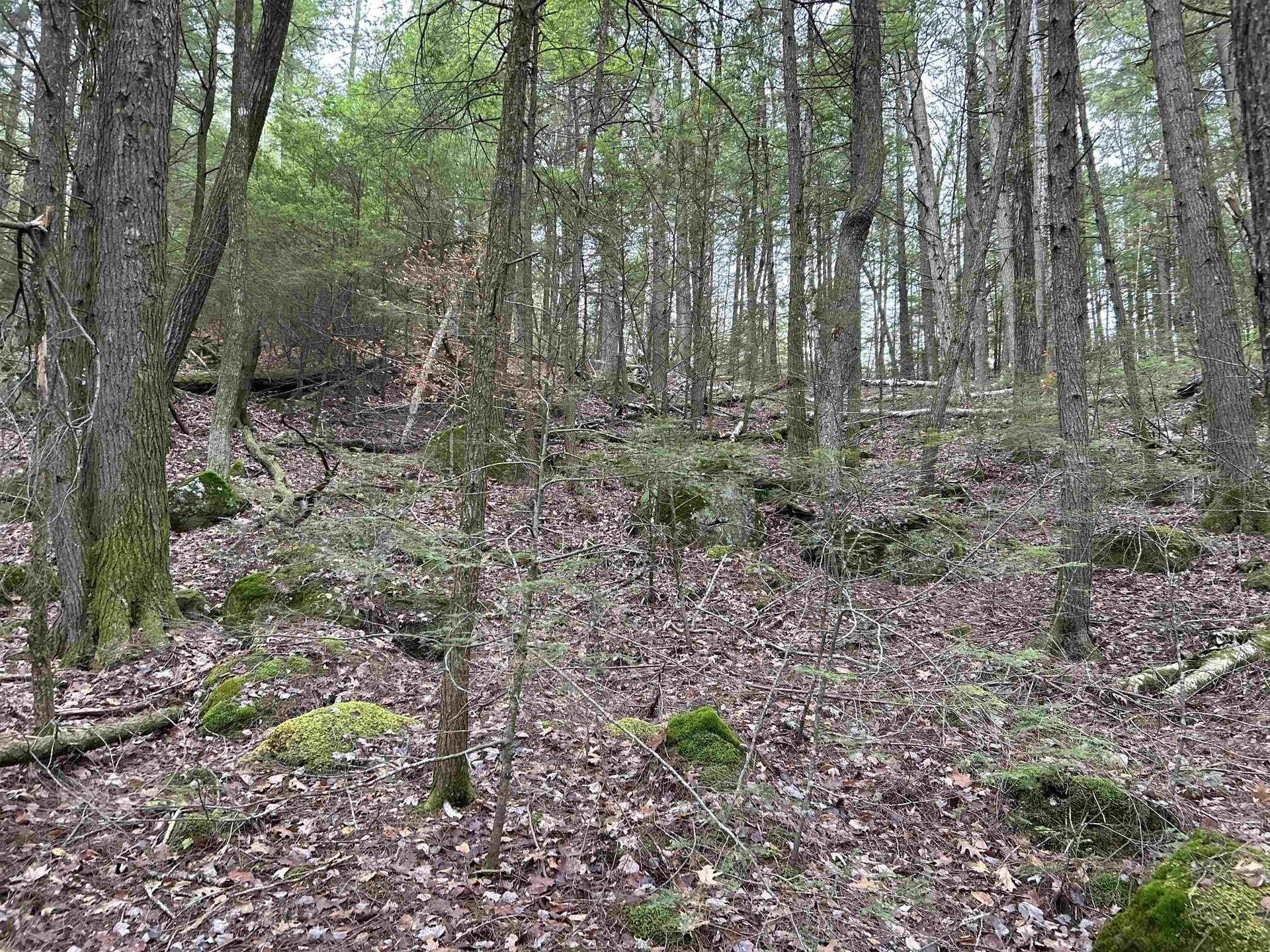 0 Pound Road Sutton NH 03221