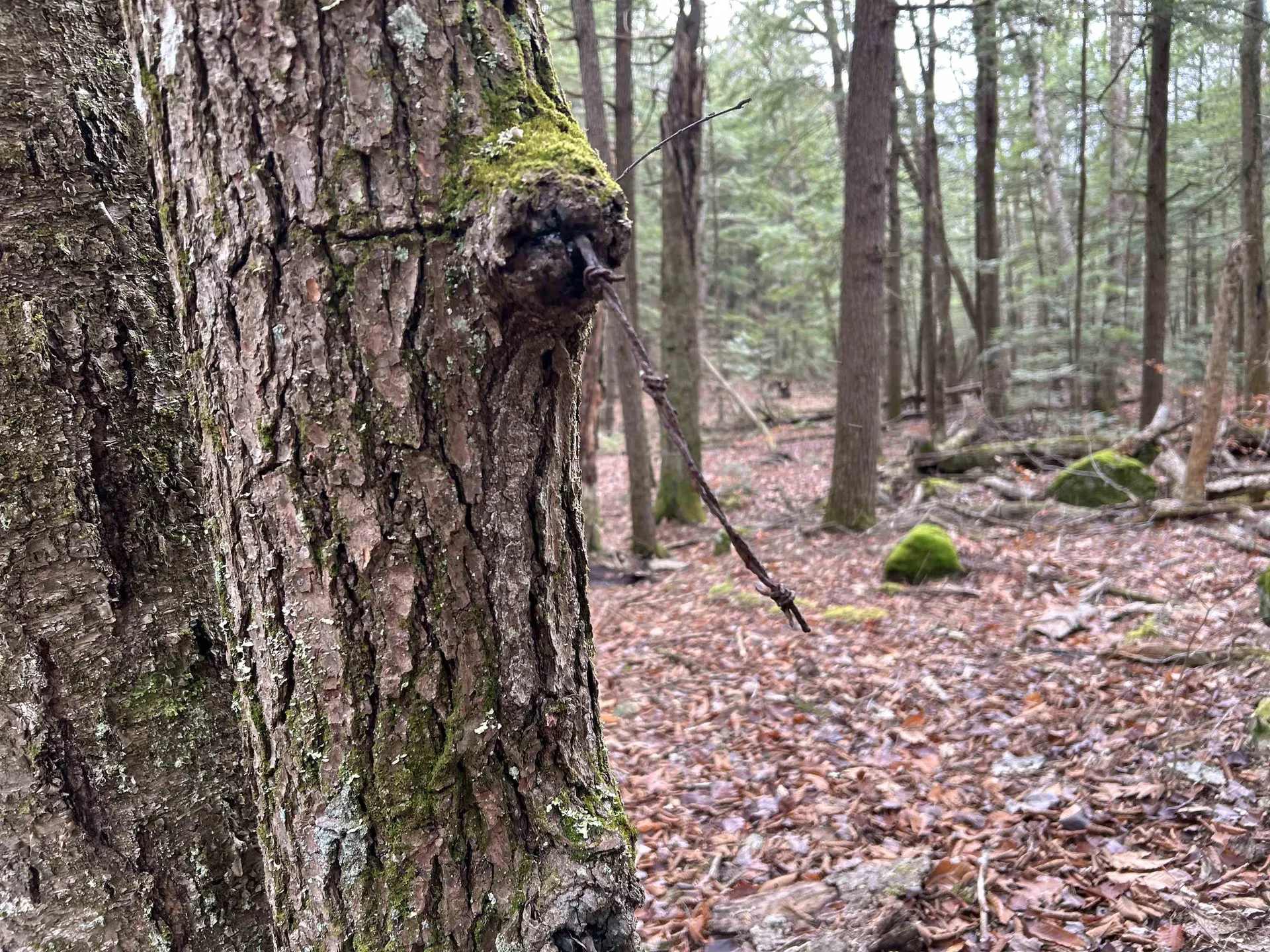 0 Pound Road Sutton NH 03221