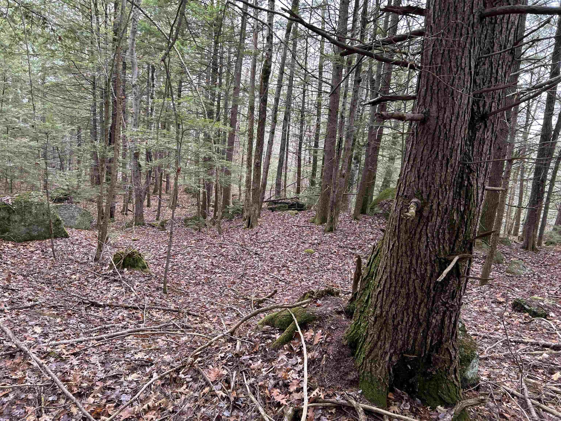 0 Pound Road Sutton NH 03221