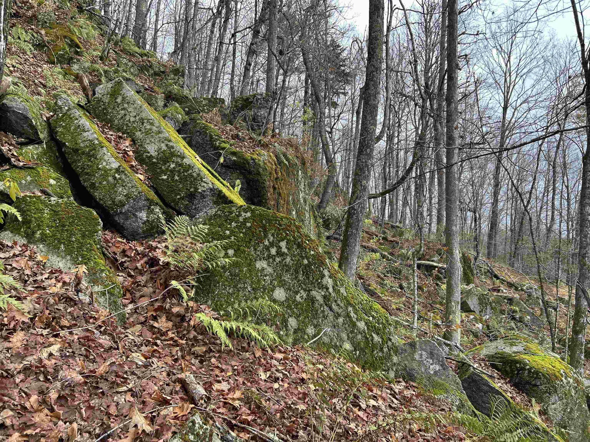 0 Pound Road Sutton NH 03221