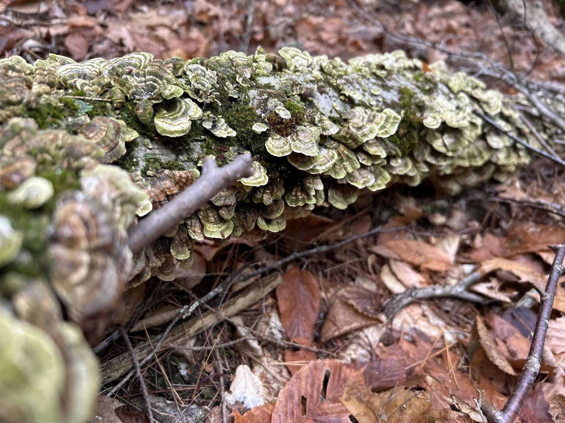 0 Pound Road Sutton NH 03221