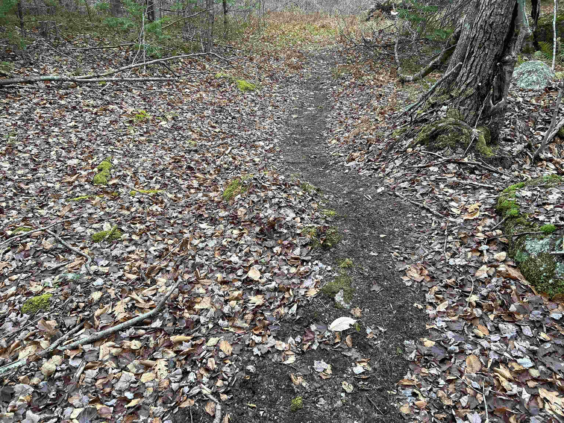 0 Pound Road Sutton NH 03221