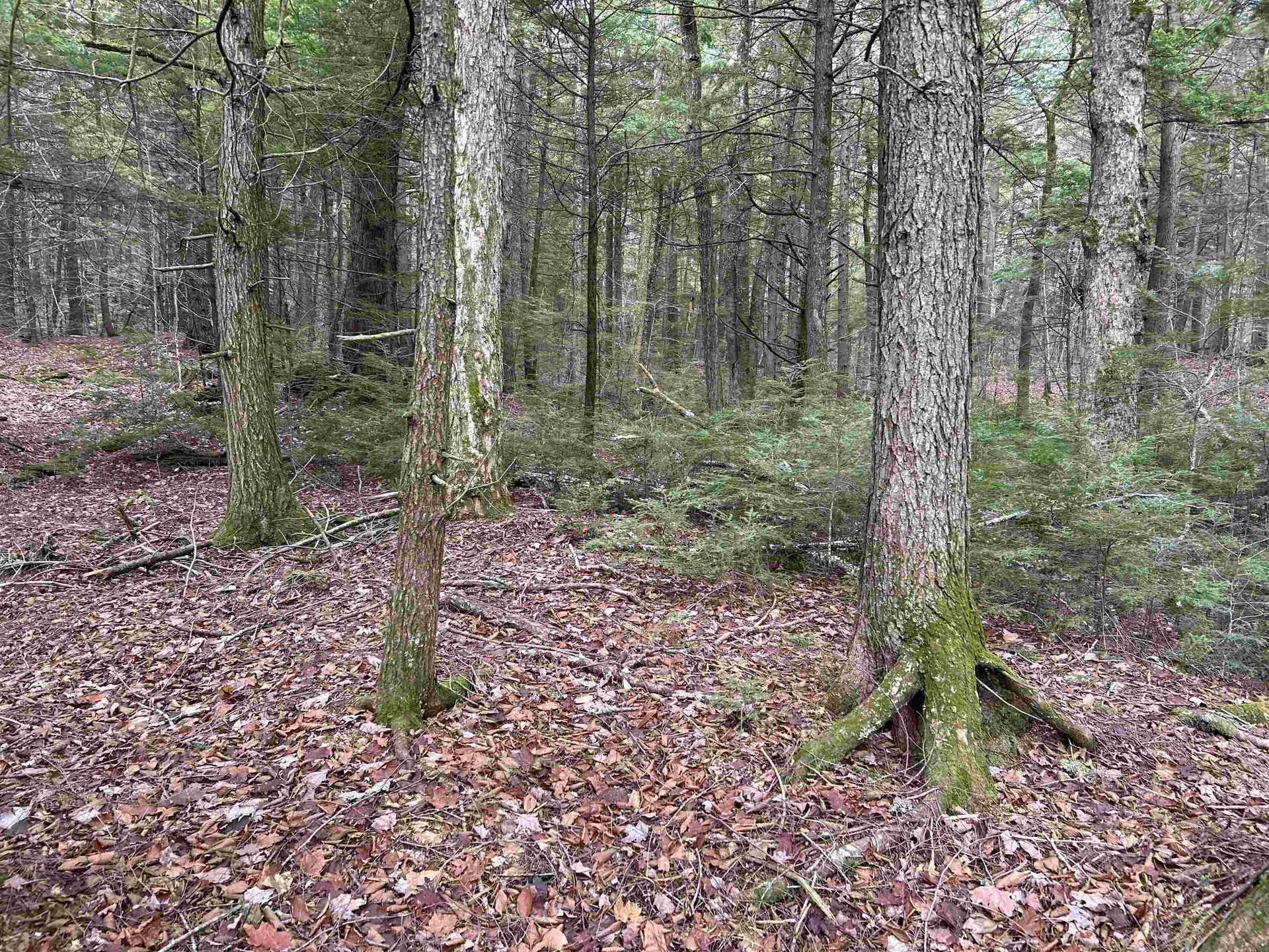 0 Pound Road Sutton NH 03221