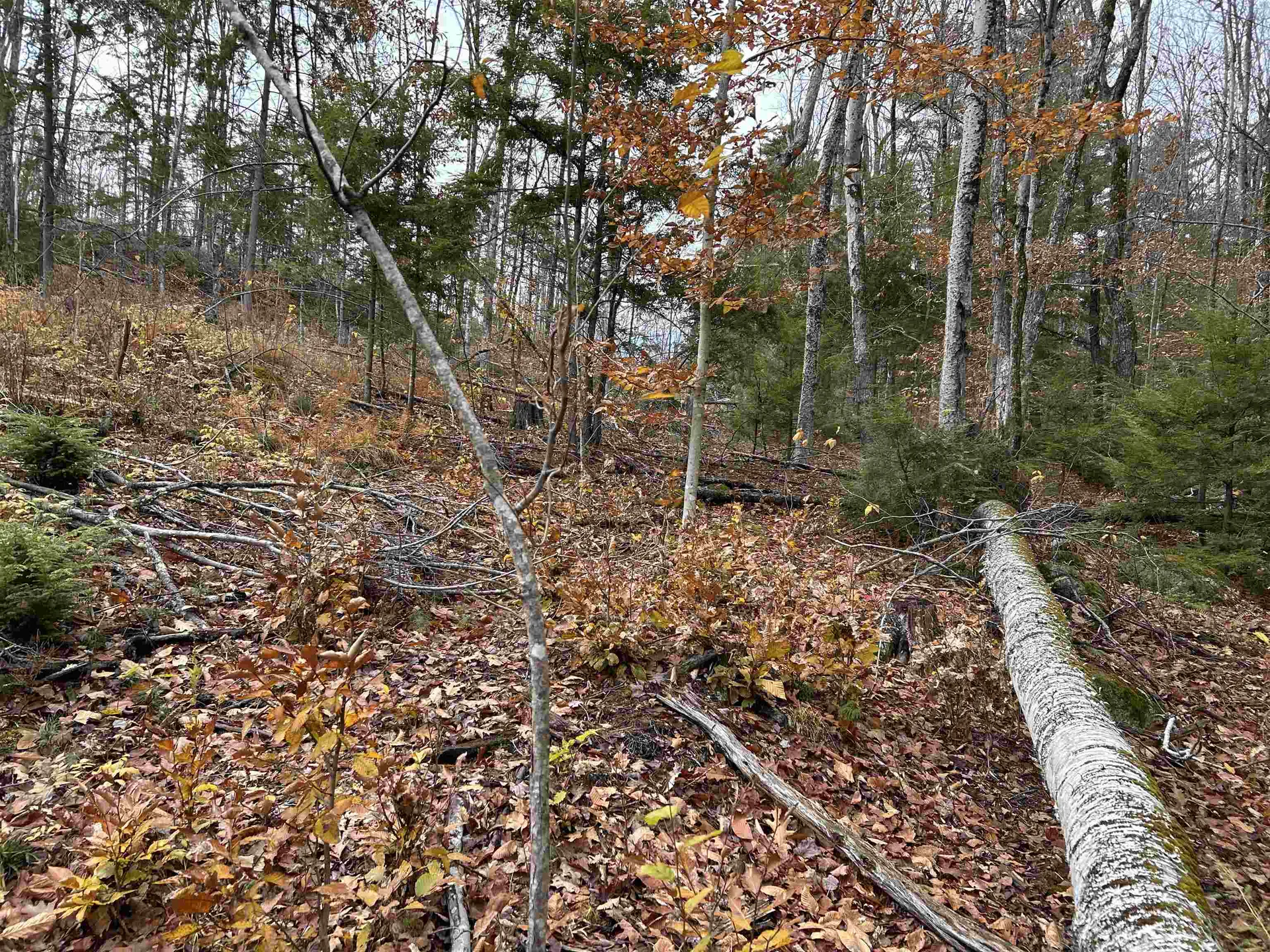 0 Pound Road Sutton NH 03221