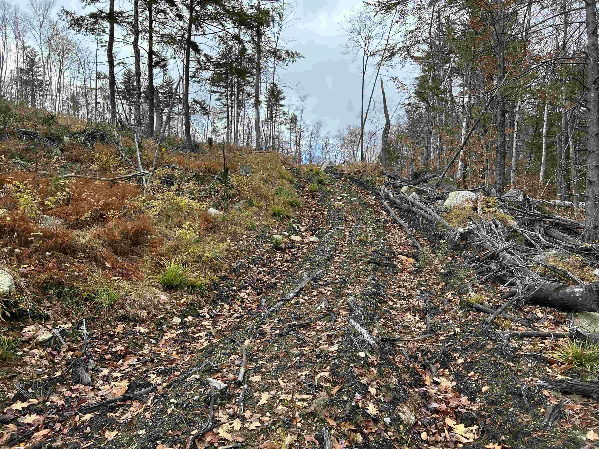 0 Pound Road Sutton NH 03221