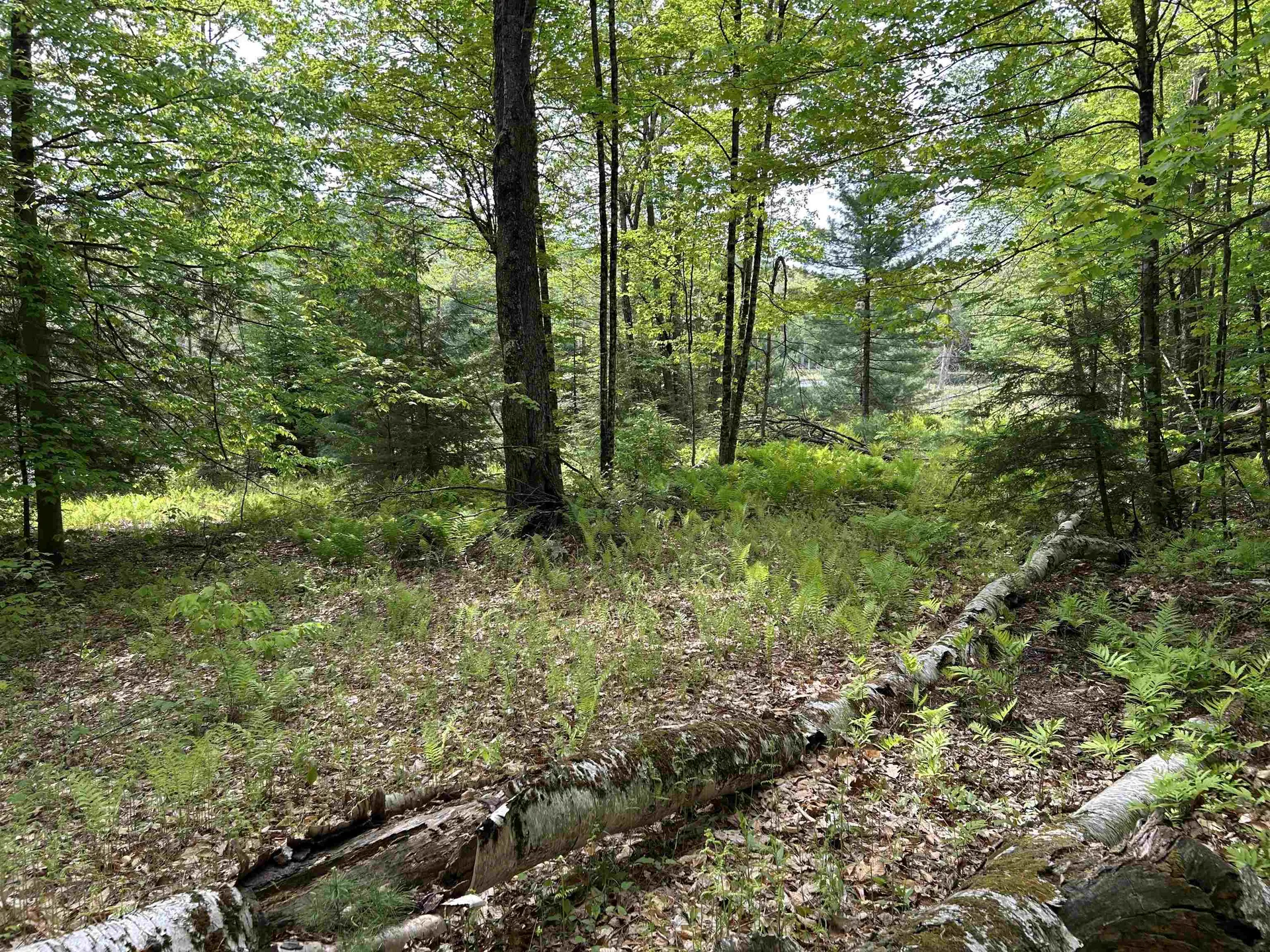 0 Pound Road Sutton NH 03221