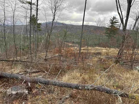 0 Pound Road Sutton NH 03221