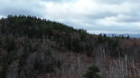 0 Pound Road Sutton NH 03221