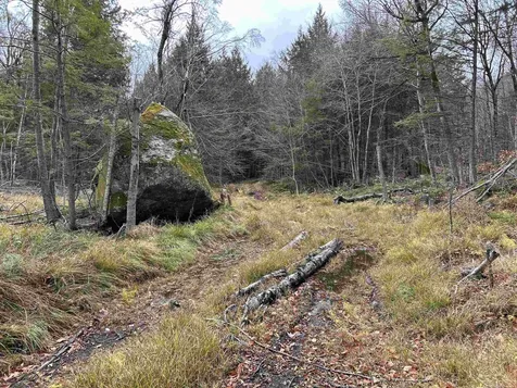 0 Pound Road Sutton NH 03221