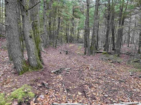 0 Pound Road Sutton NH 03221