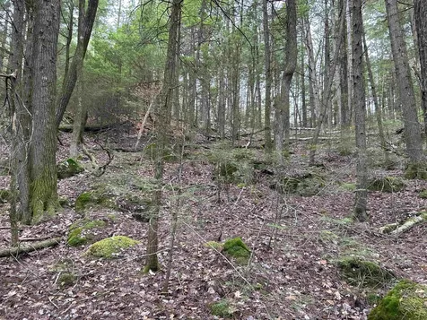 0 Pound Road Sutton NH 03221