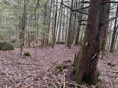 0 Pound Road Sutton NH 03221